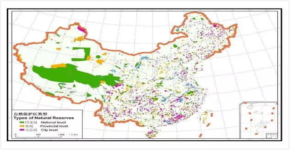 图片10