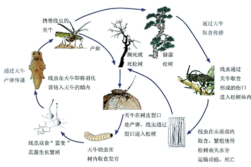 微信图片_20211015165100