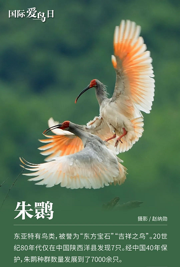 微信图片_20220401151313