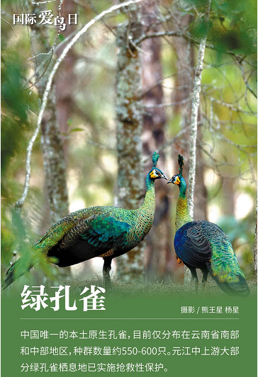 微信图片_20220401151555