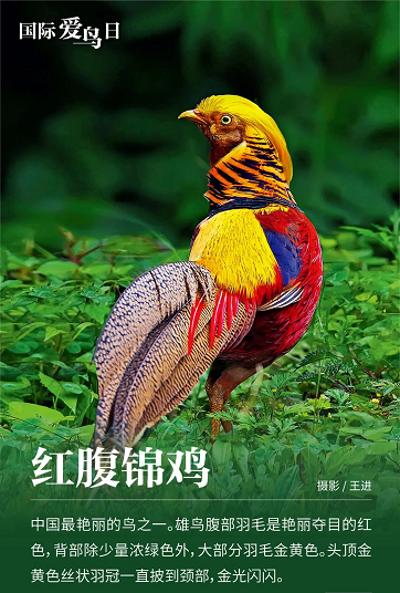 微信图片_20220401151656