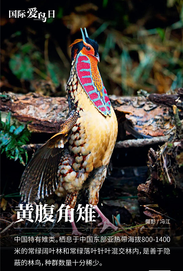 微信图片_20220401151923