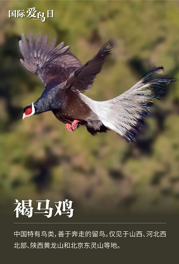 微信图片_20220401152023
