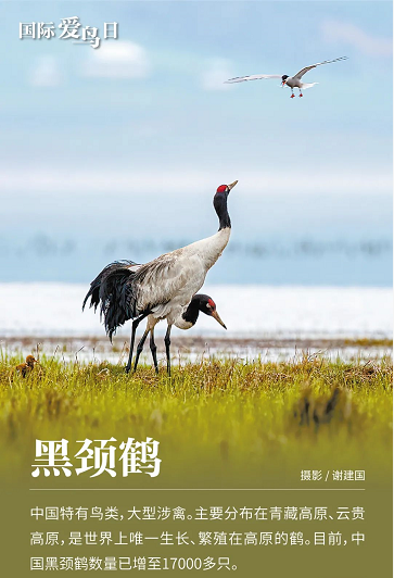 微信图片_20220401152209