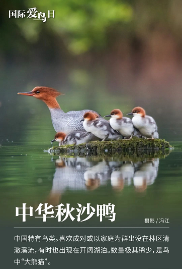微信图片_20220401152306