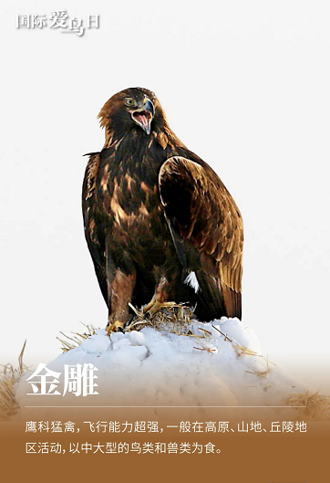 微信图片_20220401152402