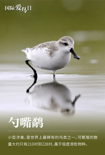 微信图片_20220401152449