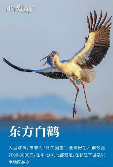 微信图片_20220401152519