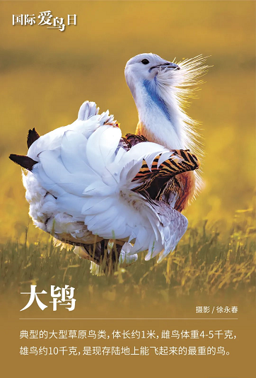 微信图片_20220401152553