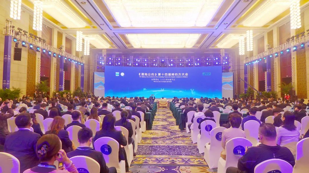 微信图片_20221107095720