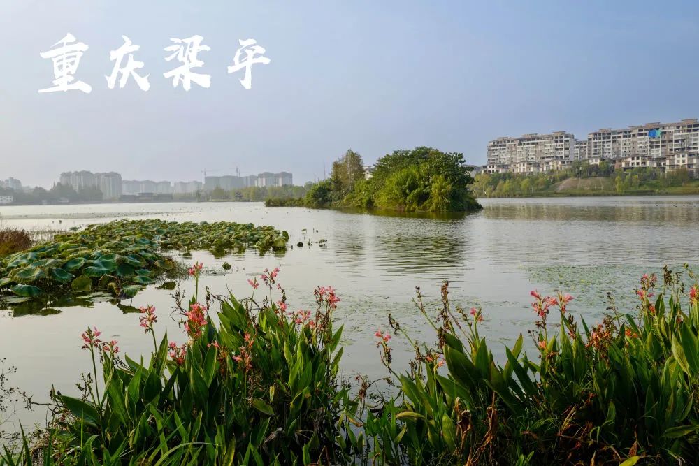 微信图片_20221125103334