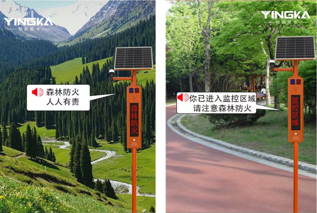 QQ图片20231011152449