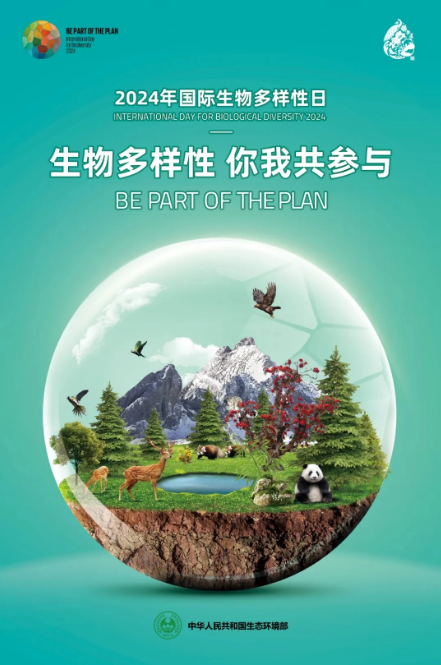 微信图片_20240522110542