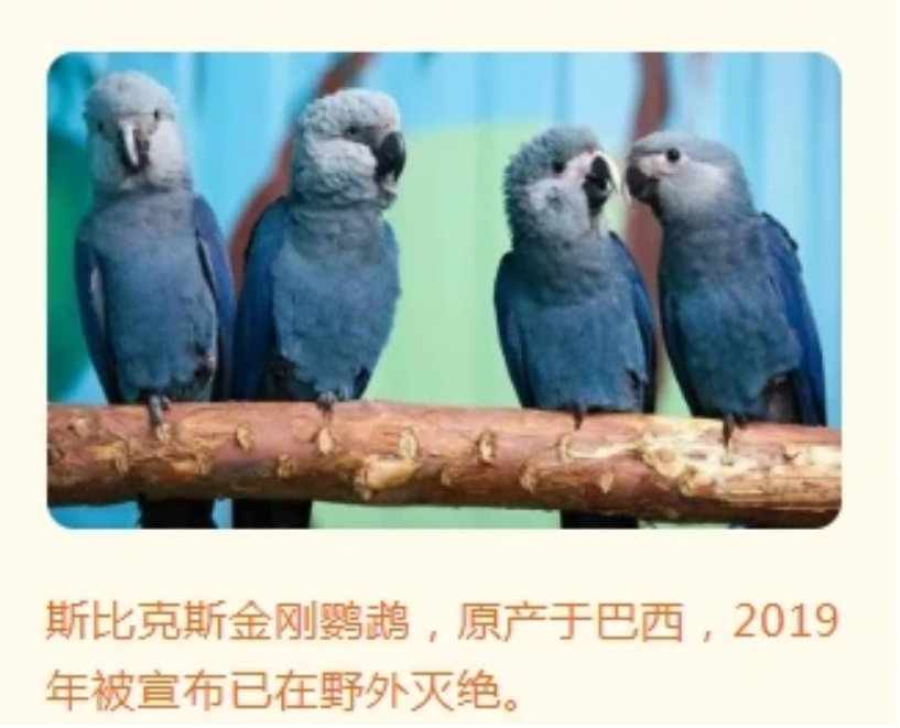 微信图片_20240522110852