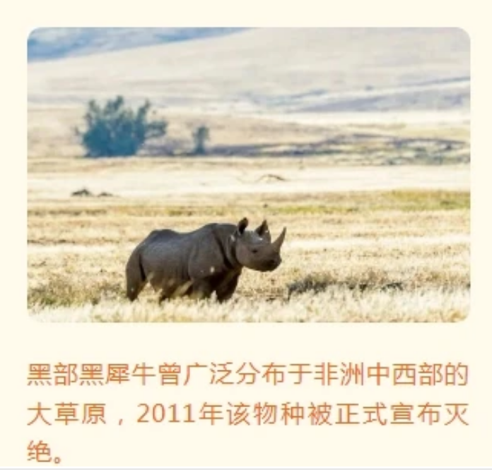 微信图片_20240522110905