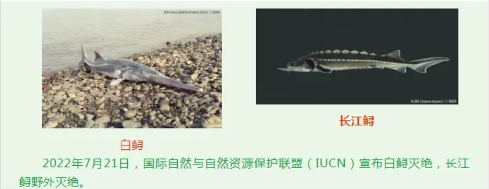 微信图片_20240522110923