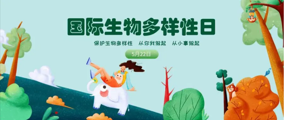 微信图片_20240522110940