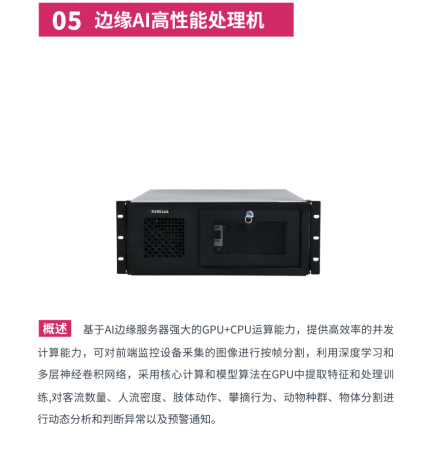 人类活动行为AI监测识别监测人类异常行为智能监测