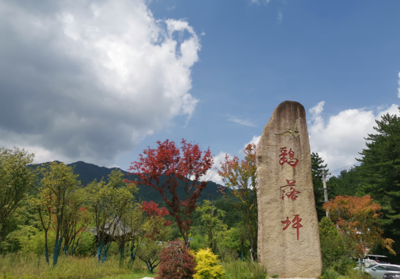 鹞落坪