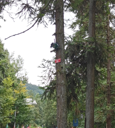 4G型地表火探测器林下红外火焰探测器