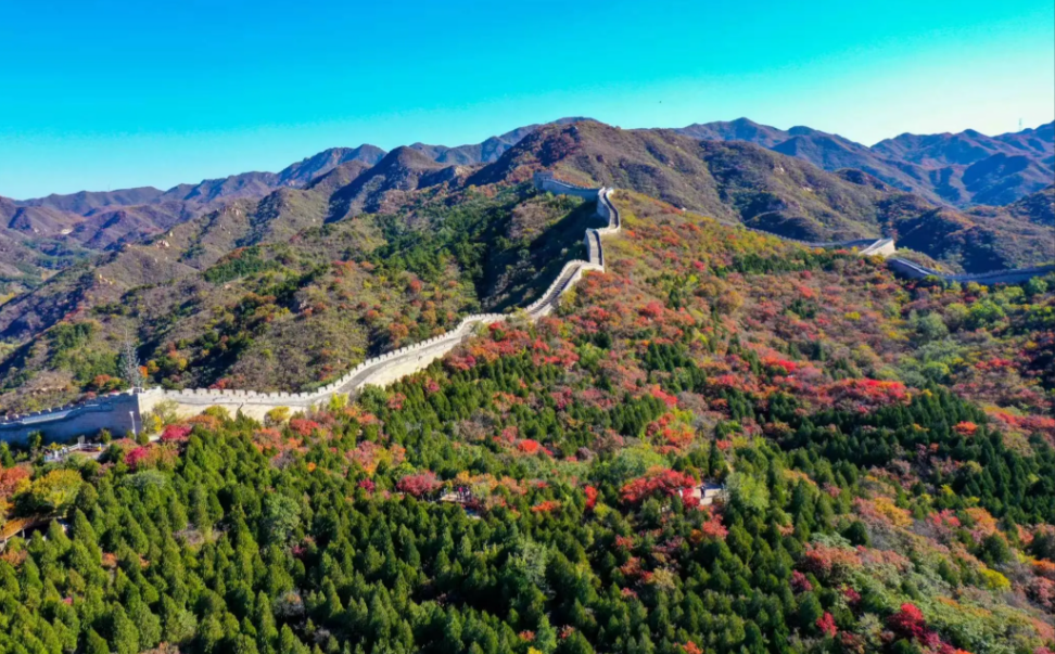北京八达岭林场